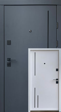 Вхідні двері Qdoors, колекція  Преміум, Тріоні-Ак, антрацит/біла шагрень