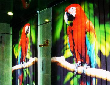 Вид в интерьере - Изображение 1