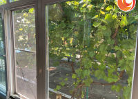  - Изображение 1